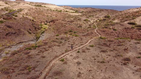 lonely traveler walking towards coast on desert pathway, aerial view