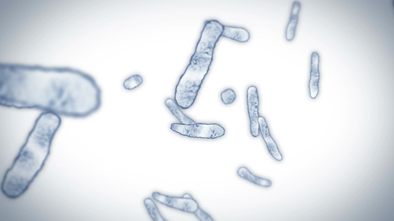 virus de célula en forma lineal. virus patógenos que causan infección. animación en bucle de virus humanos. microorganismo bacteriano. brote de enfermedad viral.