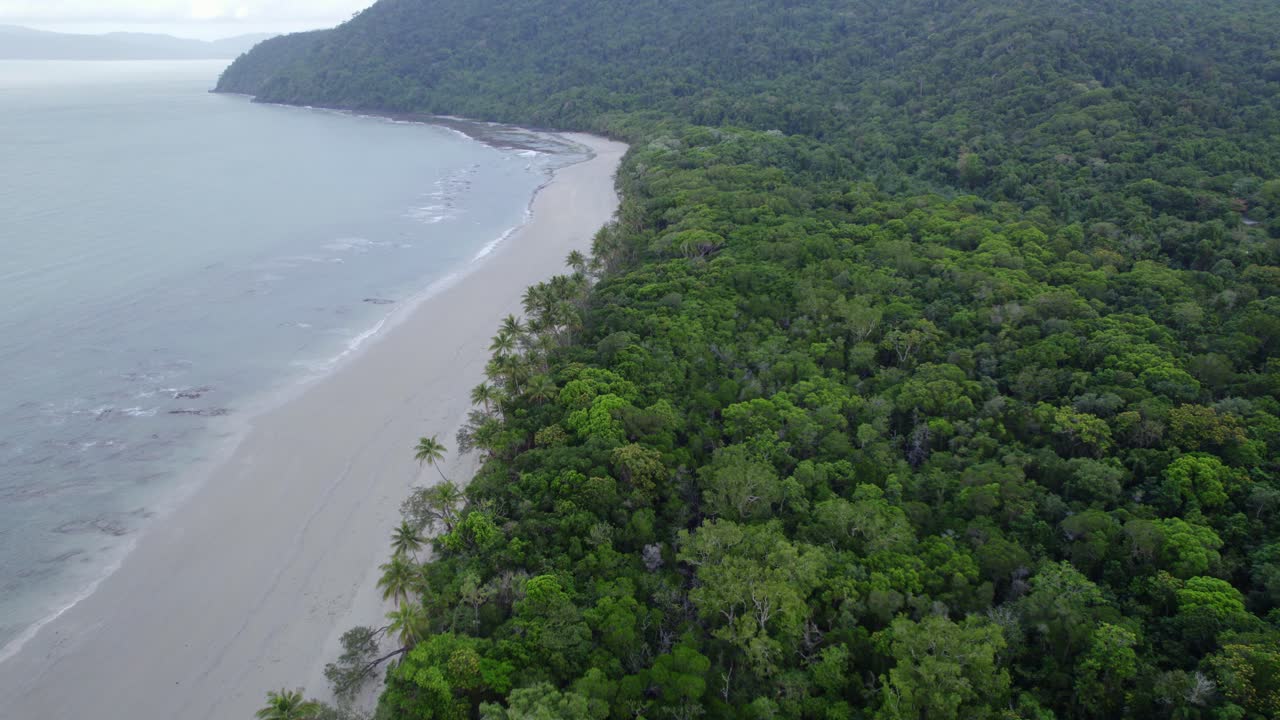 vista aérea de la playa y la jungla en el parque nacional daintree, lejano norte de queensland, australia - disparo de drones