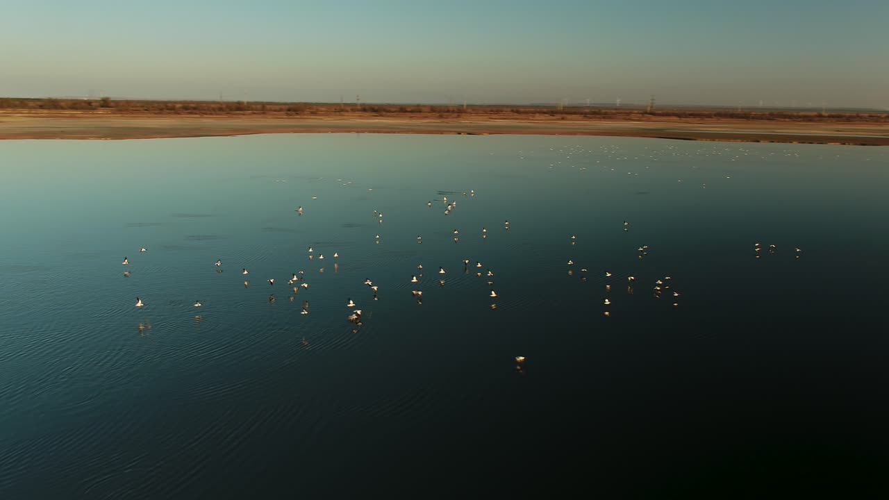 해가 뜨고 해가 지면 호수 위를 날아다니는 새들