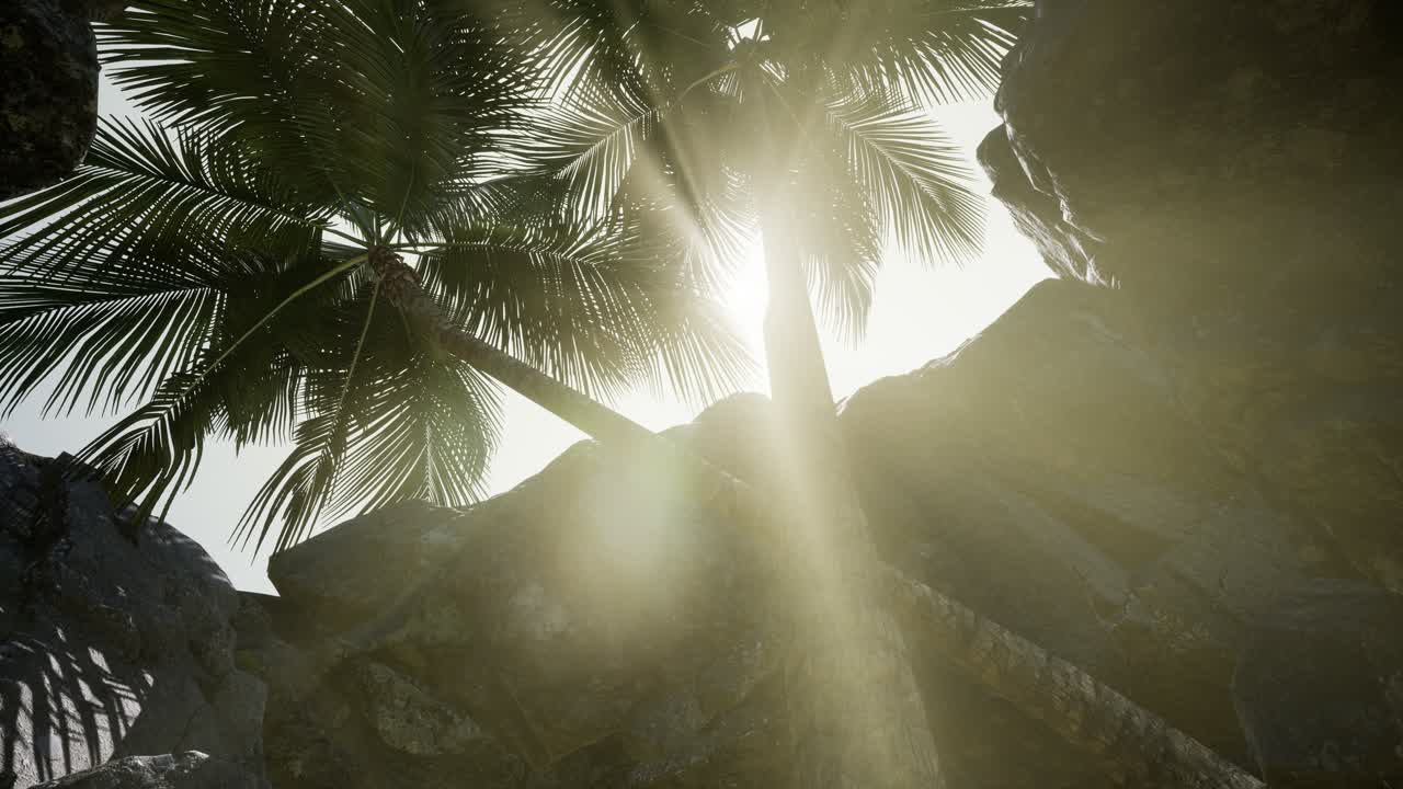 ⁇ 빛의 광선과 함께 돌 동굴에 큰 손바닥