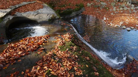 picturesque stream