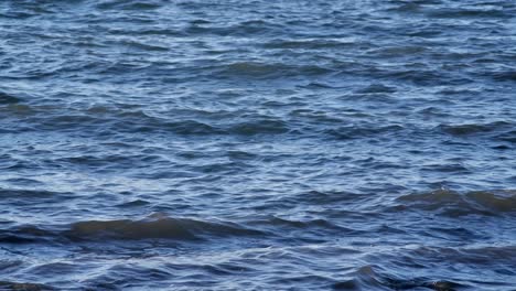 Closeup-Of-Ocean-Waves-In-Daytime