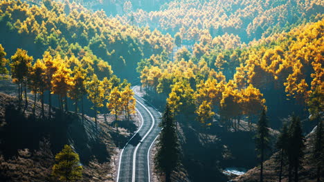 trees with yellow foliage in foggy mountains