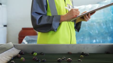 trabajadora escribiendo en un clipboard en una fábrica de aceitunas 4k