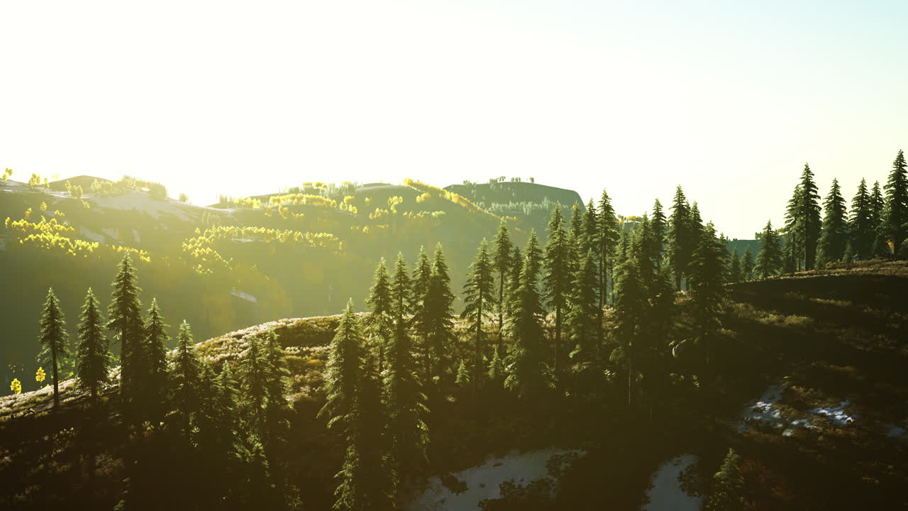가을 스칸디나비아 숲과 풍경과 활기찬 가을 색상