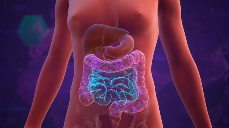 3D animation of a highlighted colon and intestines shown inside a human torso model