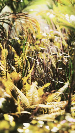 cerca de los helechos verdes en un exuberante bosque tropical