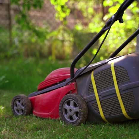 grass trimming with electric lawn mower. mowing the lawn grass in the garden. garden work in summertime.