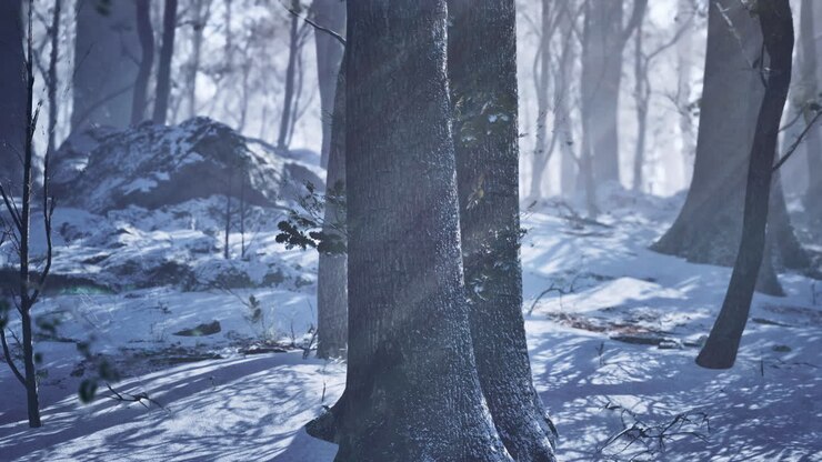 Sunset in the wood between the trees strains in winter period