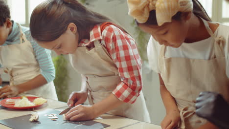 kids cutting mushrooms on culinary masterclass