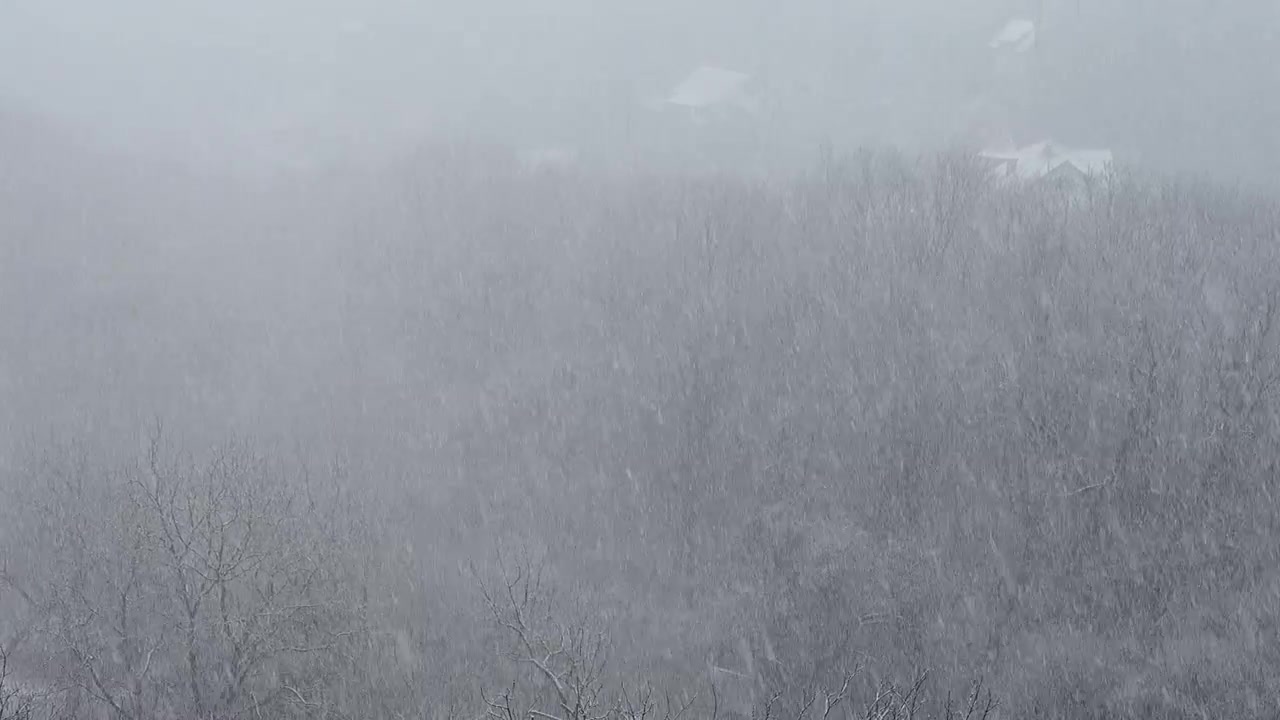 Snøstorm om vinteren