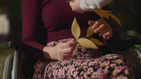 mother in wheelchair plays with dry leaves with daughter