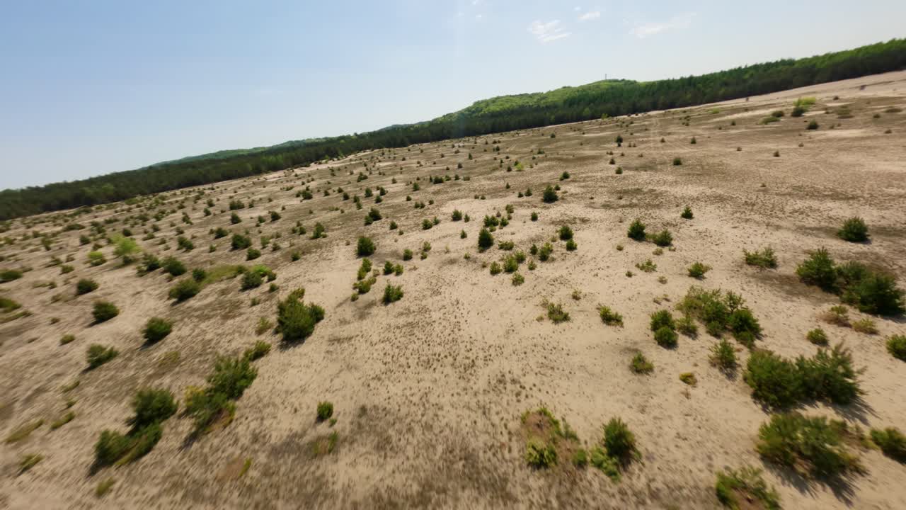 bosque y desierto, deforestación en pustinia błędowska vista de avión no tripulado