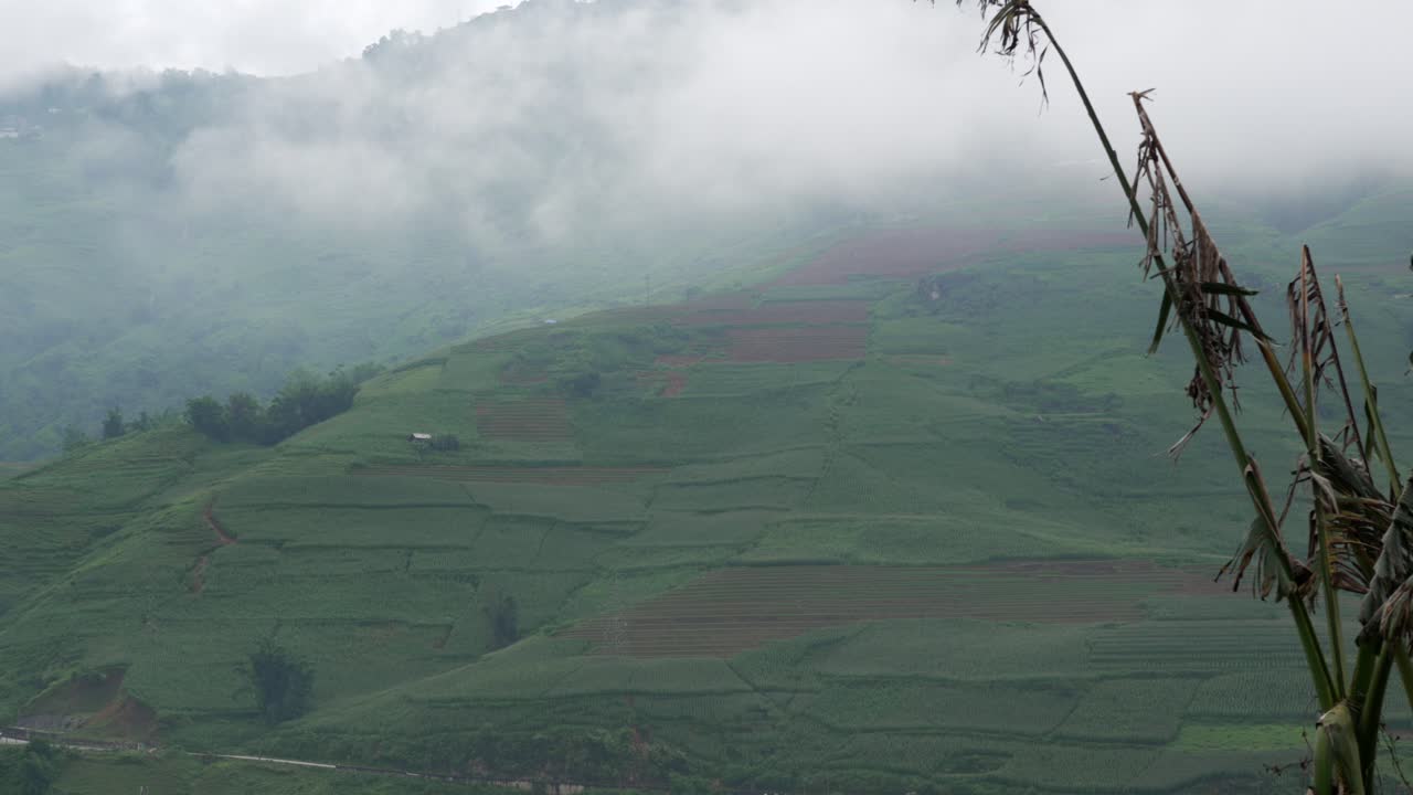 Landscape view of layered terraced fields on mountain slopes with low hanging clouds in Sapa, Vietnam