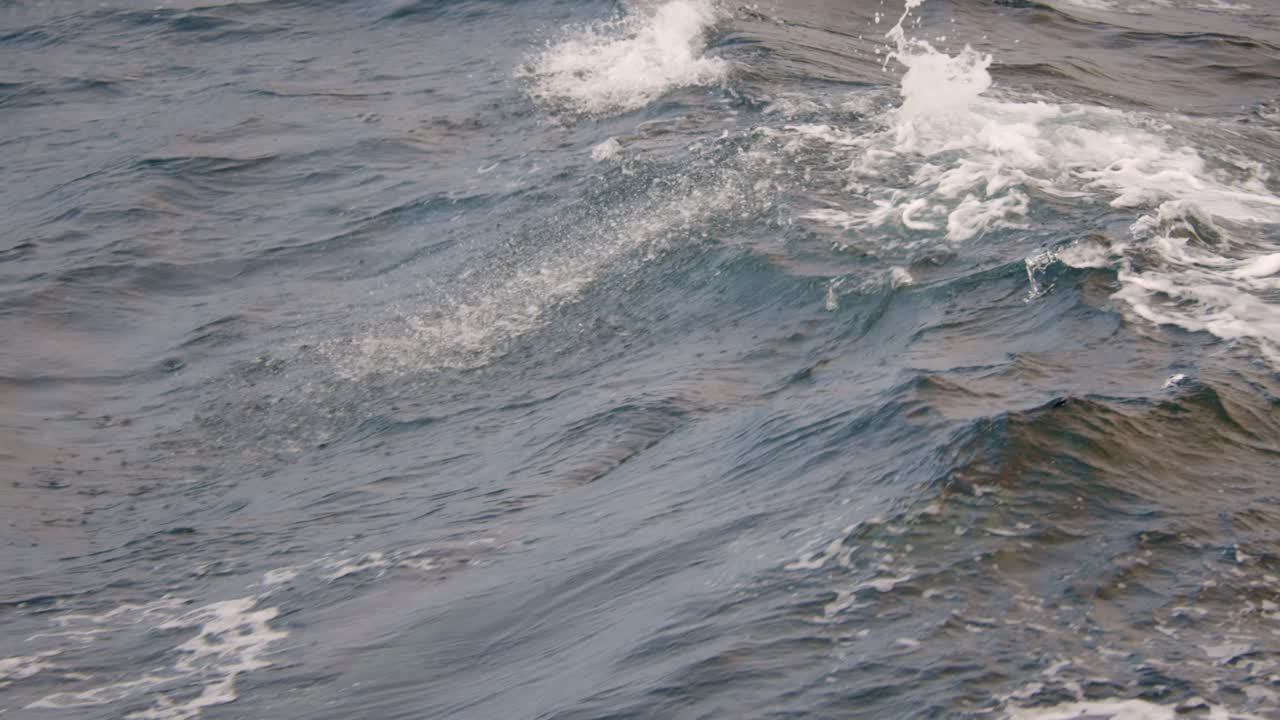 슬로우 모션으로 보트 뒤에서 활을 타는 돌고래