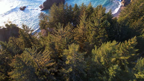 a drone flying over a lot of douglas fir trees in front of a secluded beach