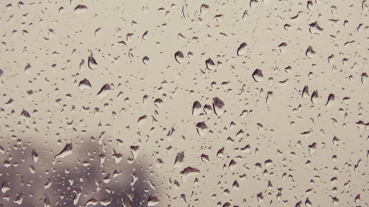 유리에 여름 비