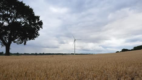 plano general de una turbina eólica en medio del campo