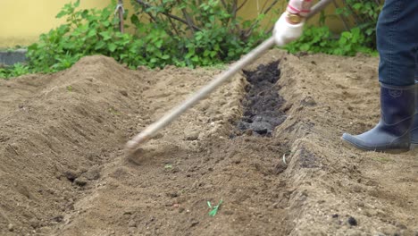 tilling soil at the garden with a shovel