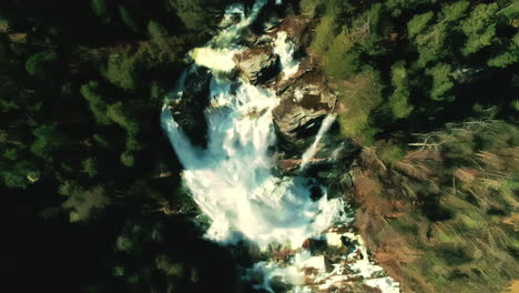 Top-down-view-of-fast-moving-river-waterfall-with-rapids-surrounded-by-pine-forest