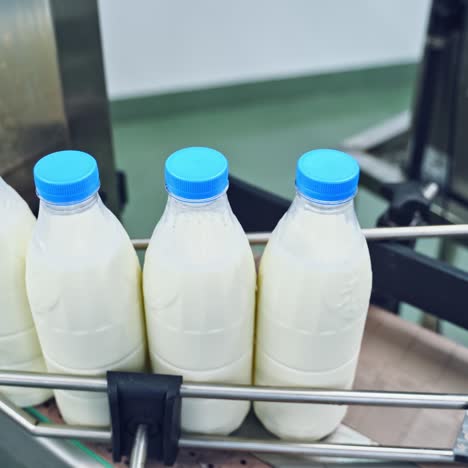 conveyor with milk bottle
