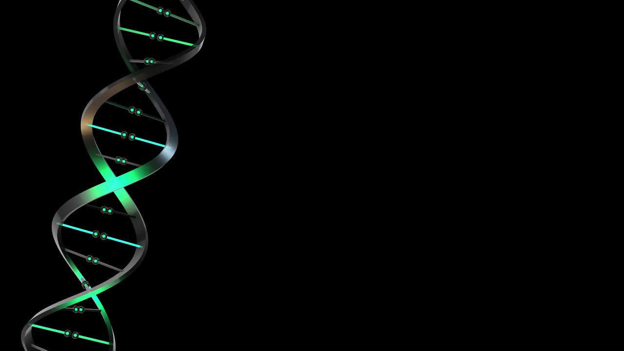 adn-sx color verde translúcido