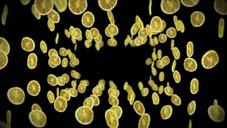 flying many dried lemons on black background. dehydrated fruits, food concept. 3d animation of sliced fruits lemons rotating. loop animation.