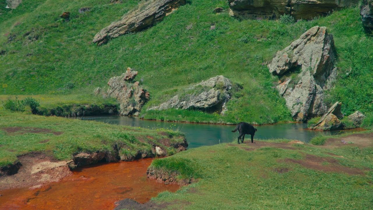 Vibrant sulfur mineral spring in Truso Valley, Georgia, with orange, red, and blue waters surrounded by green hills, as a dog walks along the lakeside, showcasing unique geology and natural beauty.