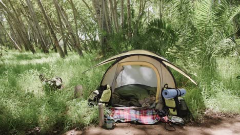 Tent-with-camping-equipment-in-forest,-with-copy-space-in-slow-motion