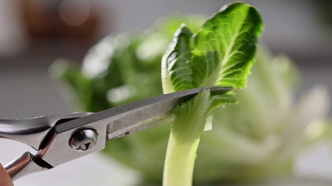 Entering from left metal kitchen shears trimming small leafy green stem on counter, preparing salad