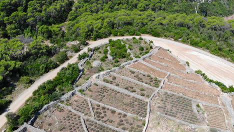 Aerial-drone-shot-of-a-lavender-field-on-the-island-of-Hvar,-Croatia