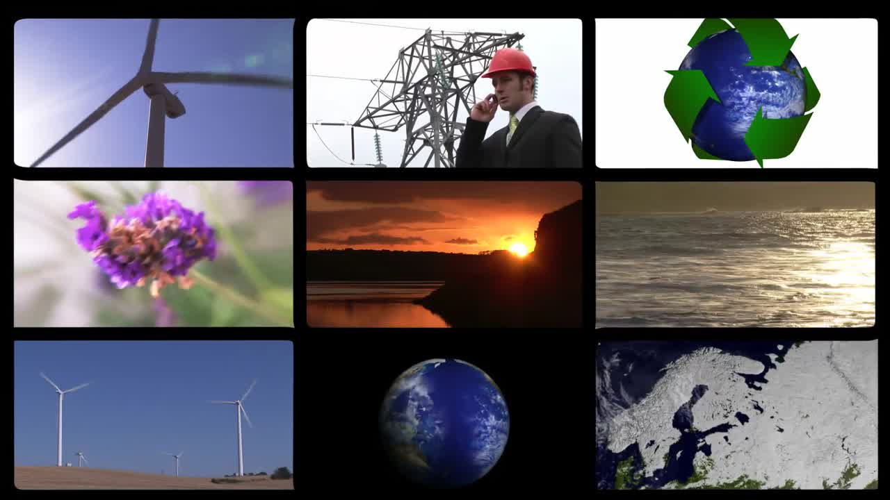 animación que presenta el concepto de ecología