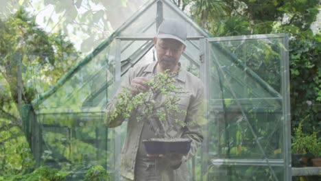 composite video of tall trees against asian senior man holding a plant pot in the garden