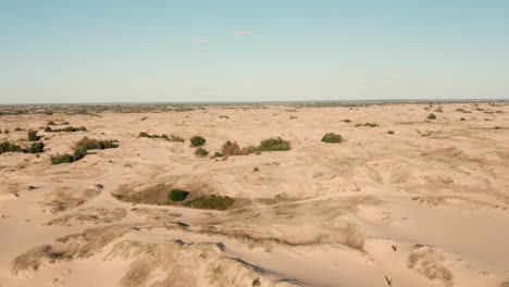 vista aérea de un desierto, dunas de arena. textura de la superficie de la naturaleza del desierto