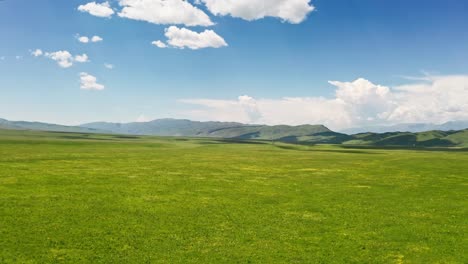 nalati grassland with the blue sky.