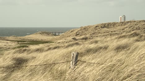 Hierba-De-Dunas-Moviéndose-Con-El-Viento-En-Sylt-Con-Una-Valla-En-Primer-Plano-4k-60fps