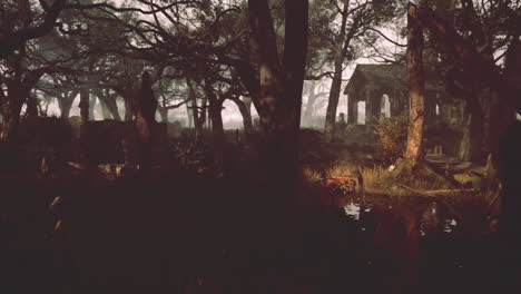 a creepy abandoned church and graveyard in a foggy forest