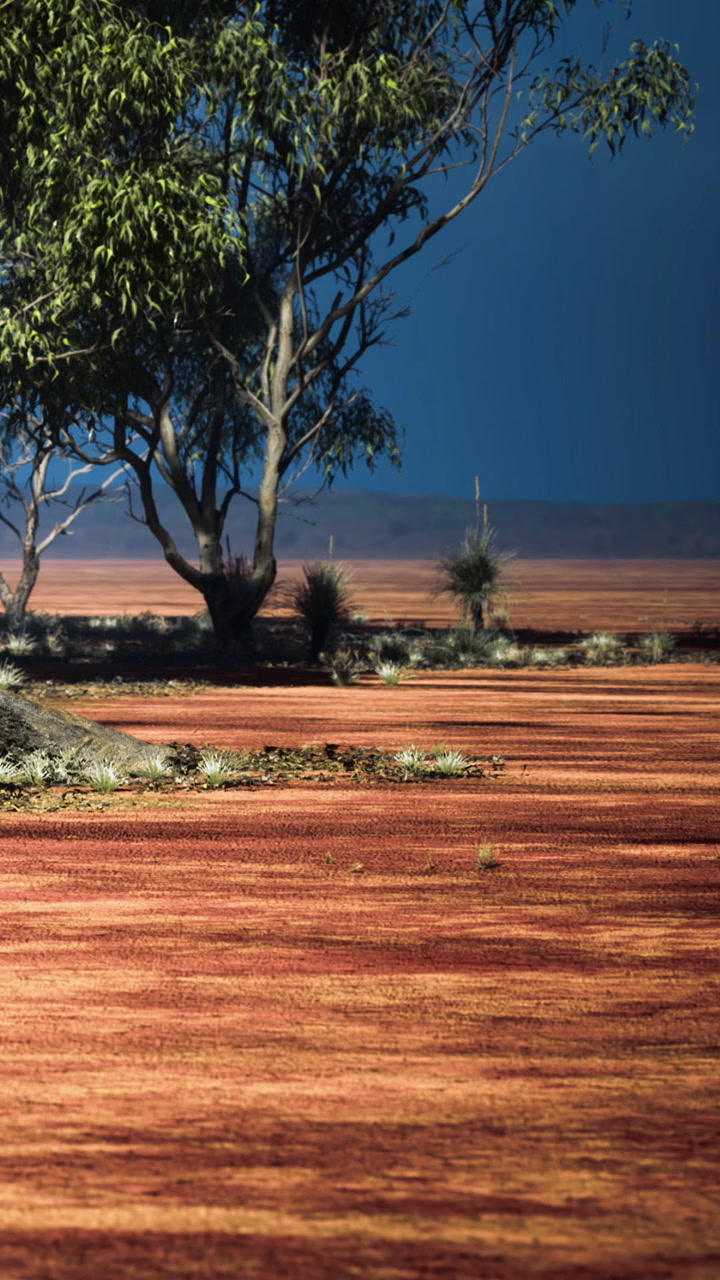 Arid Outback Landscape with a Solitary Tree and Deep Blue Sky