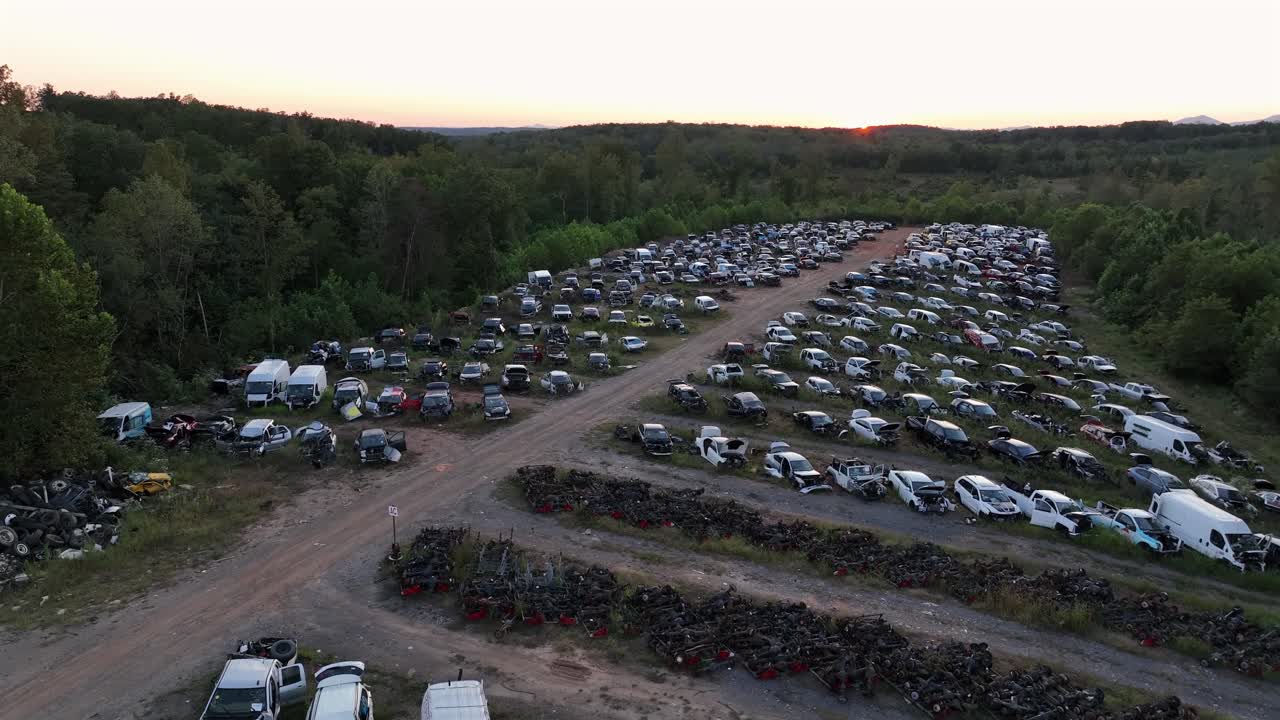 Row of damaged and destroyed vehicles on American junkyard at sunrise. Green suburb district of town with forest trees in summer. Aerial rising wide shot