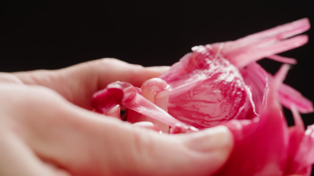 ajo entero fermentado, verduras encurtidas fermentadas. imágenes de alta calidad en 4k