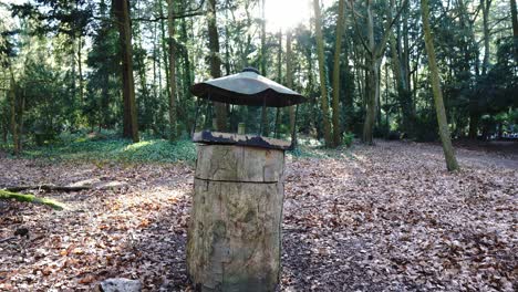 A-shot-at-a-feeder-on-an-old-well-in-a-park-in-autumn-scenery-and-a-look-at-the-sun-between-the-trees