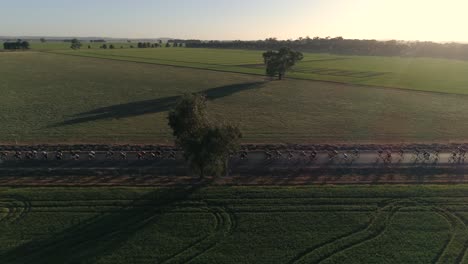 Aerial-view-tracking-a-large-group-of-cyclist-competing-in-the-Gears-and-Beers-race-held-in-the-rural-city-of-Wagga-Wagga-NSW-Australia,-surrounded-by-beautiful-country-landscape