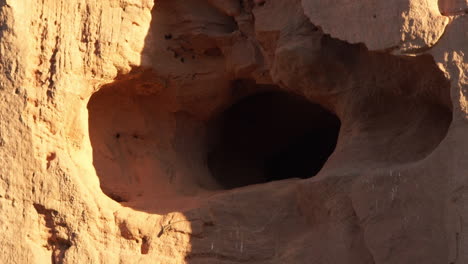 Caatinga-lizzard-on-sandstone-cliff,-near-a-hole-nest-of-lear's-macaw