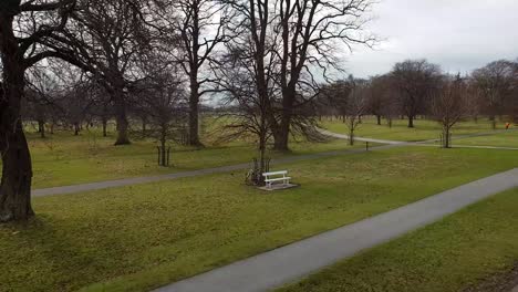 phoenix park in dublin - the biggest recreation park in the city