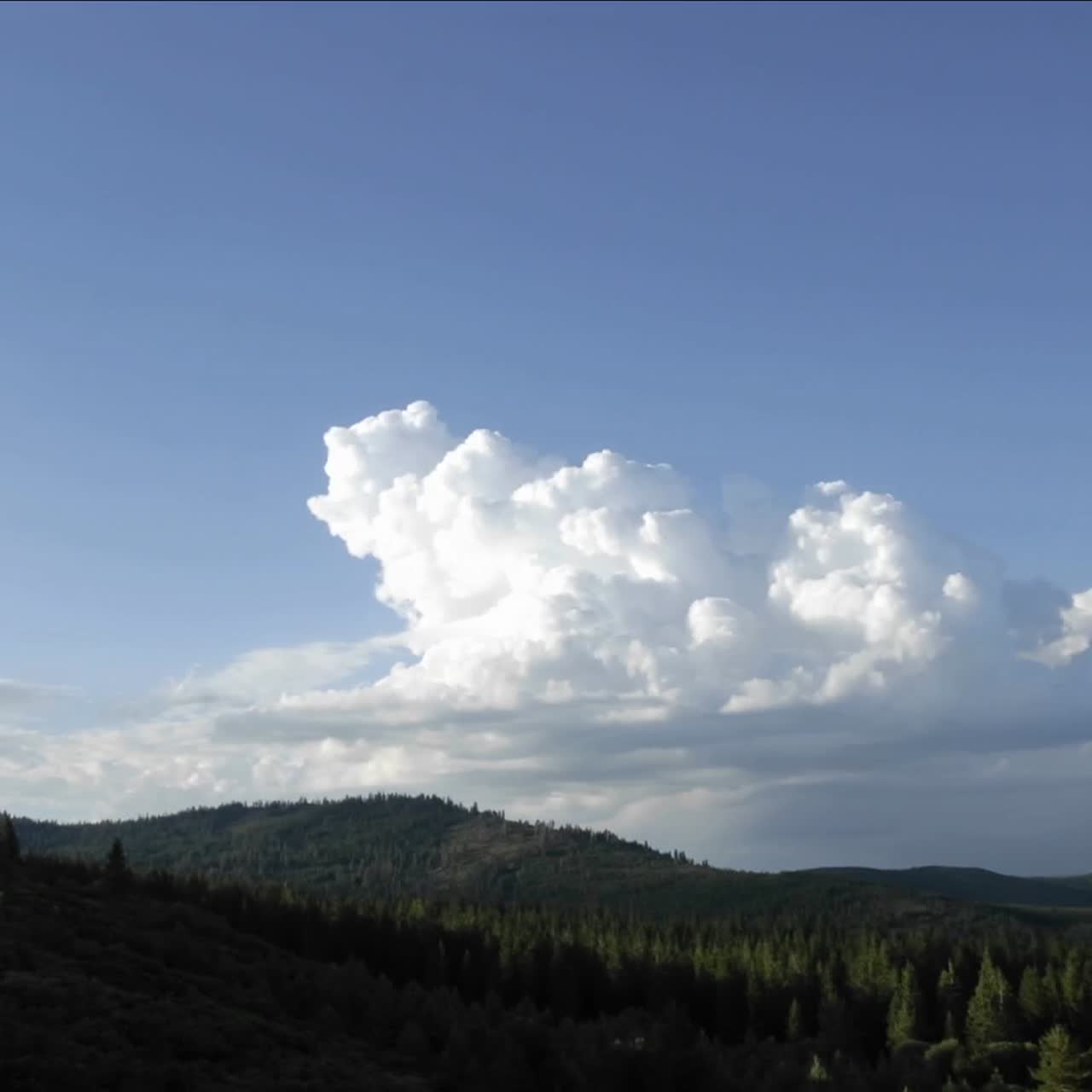 día rápido a la noche lapso de nubes y senderos de escaleras en el bosque nacional tahoe en truckee california