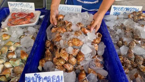 person arranging shellfish on ice at market