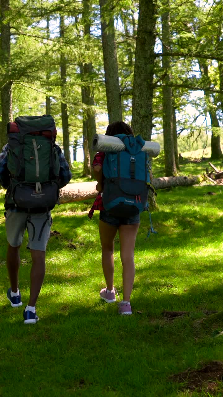 Hikers with backpacks in a forest