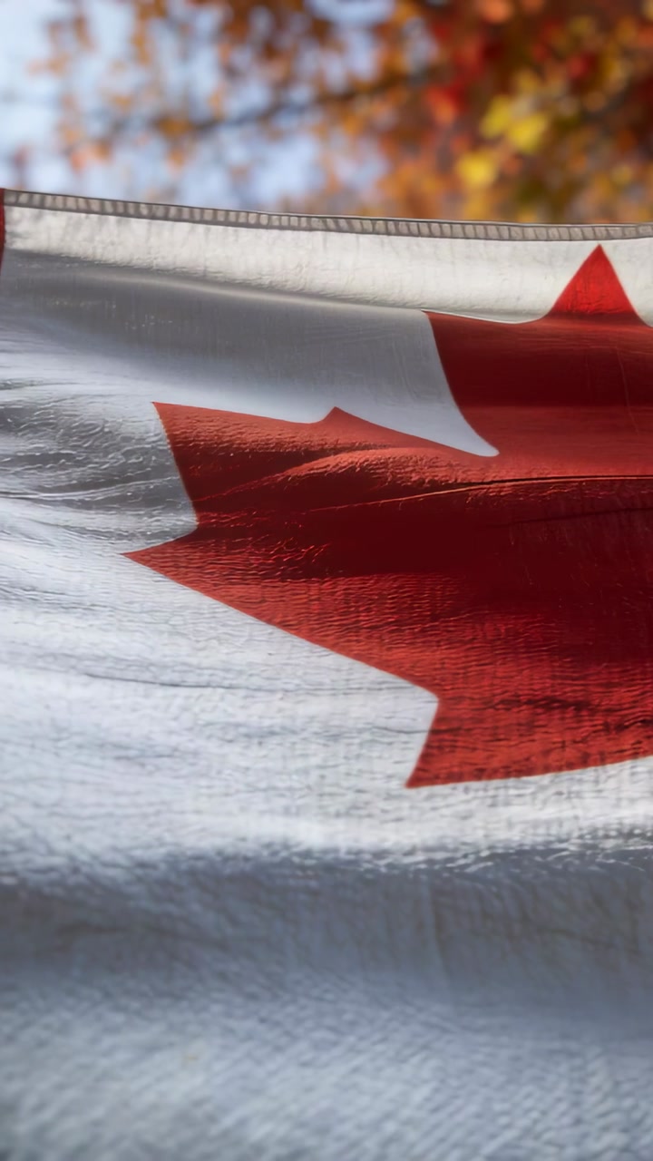 Vertical video: Billowing Canadian flag revealing maple leaf in park from light wind, showing hem
