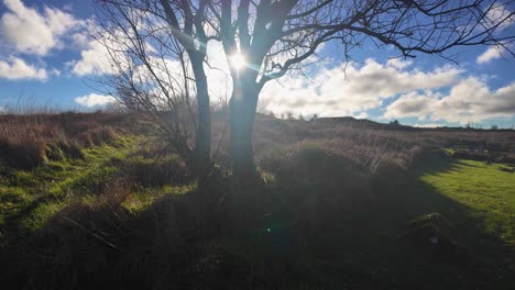 4K-Aufnahme-Von-Sunsine-Am-Frühen-Morgen-Durch-Einen-Baum-An-Der-Historischen-Stätte-Beaghmore,-Cookstown,-Co.-Tyrone,-Nordirland